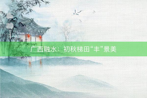 广西融水：初秋梯田“丰”景美