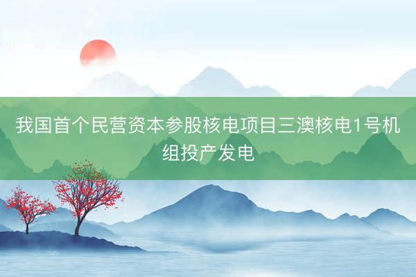 我国首个民营资本参股核电项目三澳核电1号机组投产发电