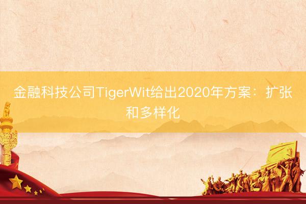 金融科技公司TigerWit给出2020年方案：扩张和多样化