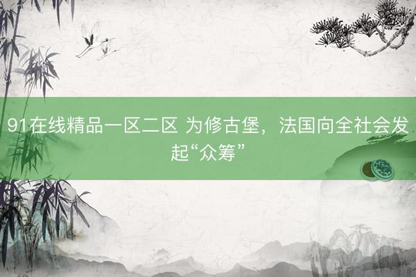 91在线精品一区二区 为修古堡，法国向全社会发起“众筹”