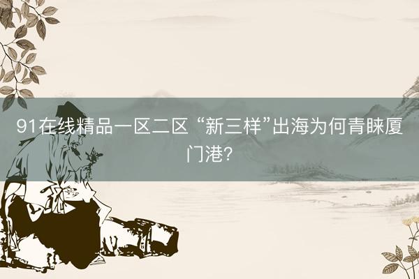 91在线精品一区二区 “新三样”出海为何青睐厦门港？