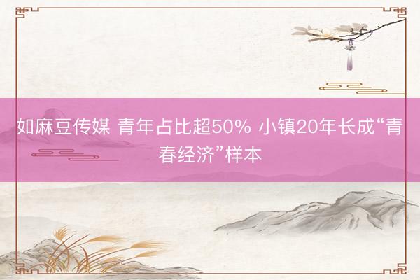 如麻豆传媒 青年占比超50% 小镇20年长成“青春经济”样本