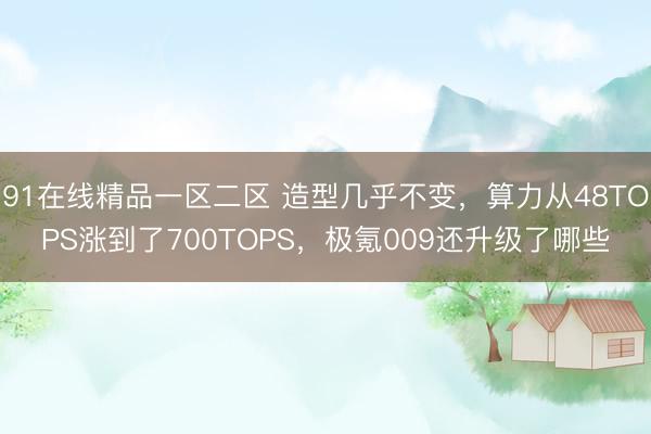 91在线精品一区二区 造型几乎不变，算力从48TOPS涨到了700TOPS，极氪009还升级了哪些