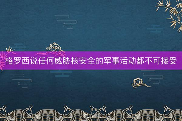 格罗西说任何威胁核安全的军事活动都不可接受