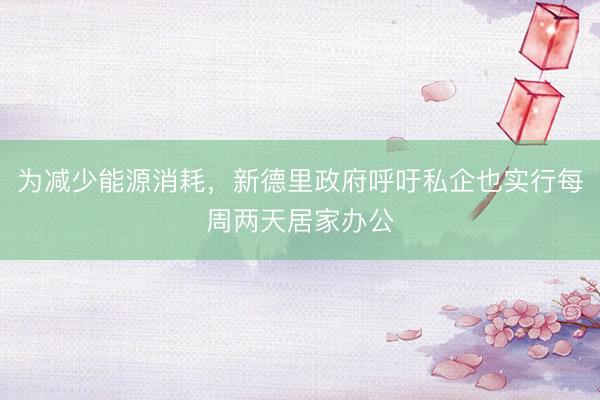 为减少能源消耗，新德里政府呼吁私企也实行每周两天居家办公