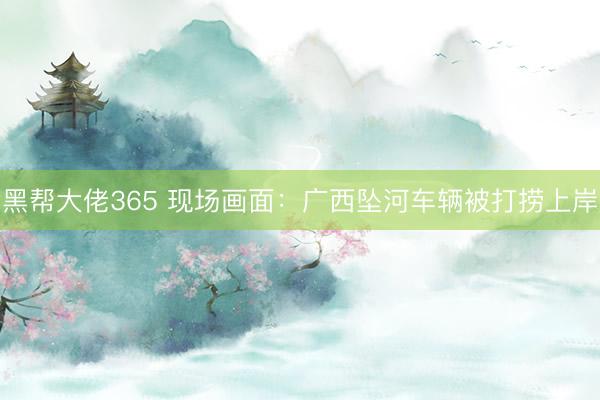 黑帮大佬365 现场画面：广西坠河车辆被打捞上岸