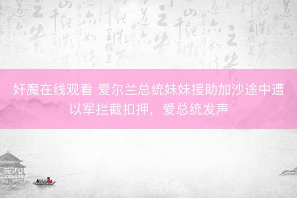 奸魔在线观看 爱尔兰总统妹妹援助加沙途中遭以军拦截扣押，爱总统发声