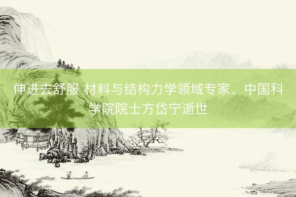 伸进去舒服 材料与结构力学领域专家、中国科学院院士方岱宁逝世