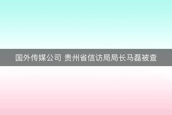国外传媒公司 贵州省信访局局长马磊被查