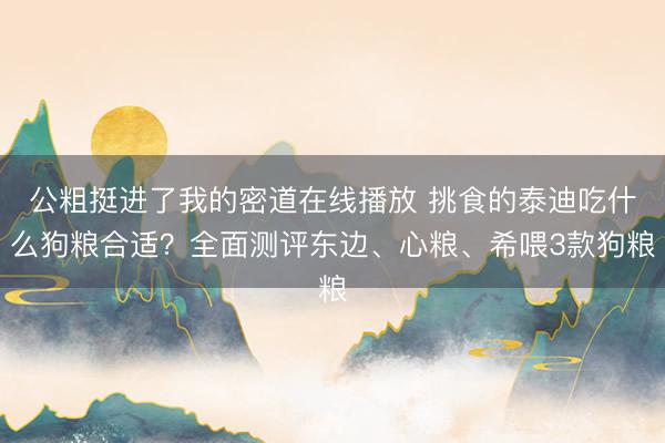 公粗挺进了我的密道在线播放 挑食的泰迪吃什么狗粮合适？全面测评东边、心粮、希喂3款狗粮
