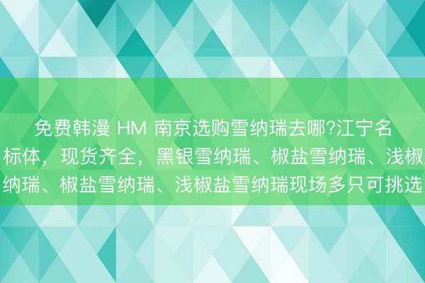 免费韩漫 HM 南京选购雪纳瑞去哪?江宁名宠基地小体、小标体、标体，现货齐全，黑银雪纳瑞、椒盐雪纳瑞、浅椒盐雪纳瑞现场多只可挑选