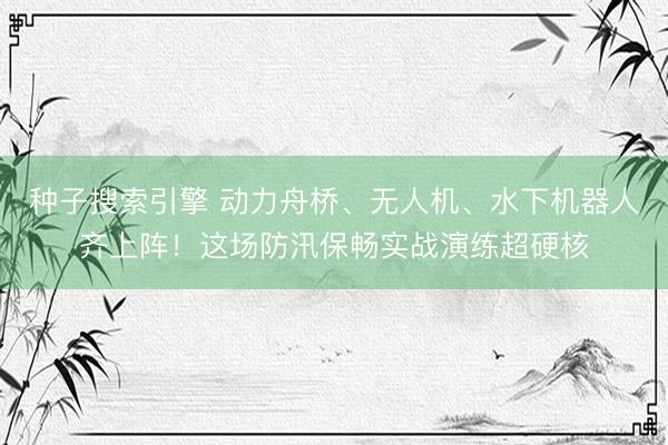 种子搜索引擎 动力舟桥、无人机、水下机器人齐上阵!这场防汛保畅实战演练超硬核