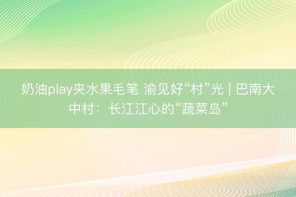 奶油play夹水果毛笔 渝见好“村”光 | 巴南大中村：长江江心的“蔬菜岛”