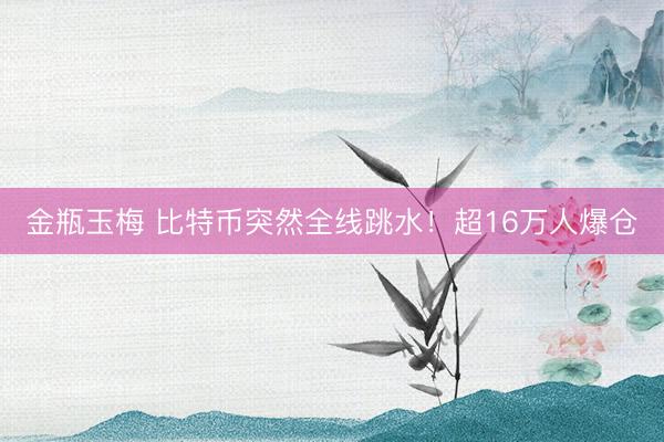 金瓶玉梅 比特币突然全线跳水！超16万人爆仓