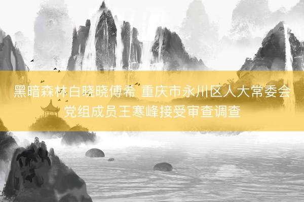 黑暗森林白晓晓傅希 重庆市永川区人大常委会党组成员王寒峰接受审查调查