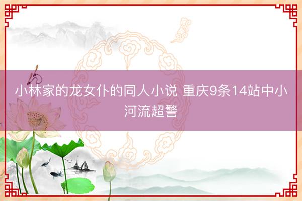 小林家的龙女仆的同人小说 重庆9条14站中小河流超警