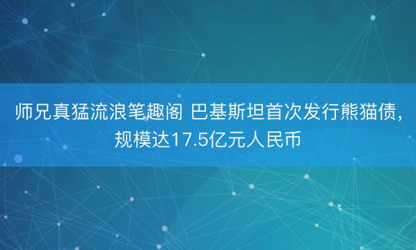 师兄真猛流浪笔趣阁 巴基斯坦首次发行熊猫债，规模达17.5亿元人民币