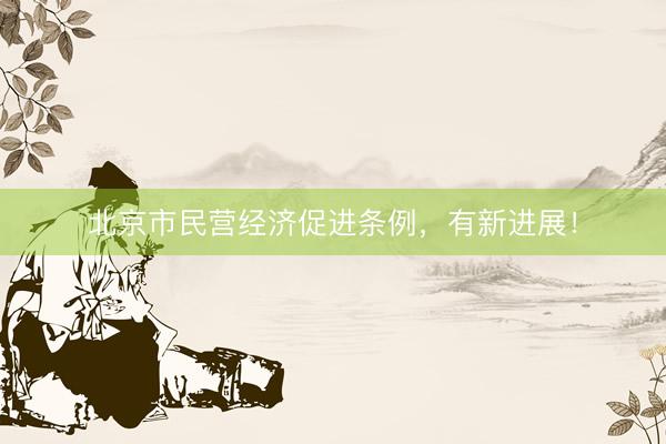 北京市民营经济促进条例，有新进展！