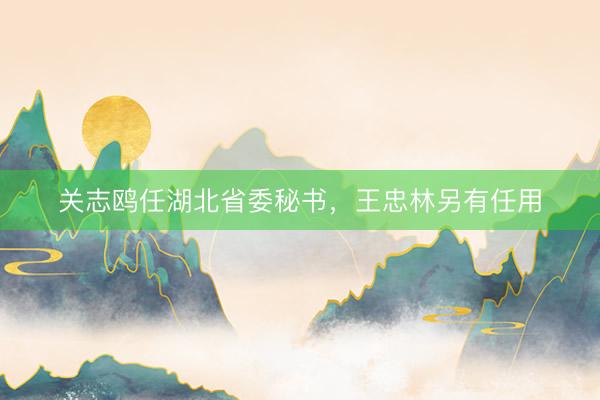 关志鸥任湖北省委秘书，王忠林另有任用
