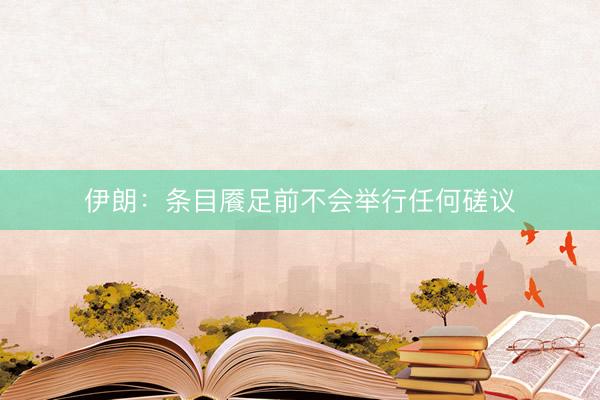 伊朗：条目餍足前不会举行任何磋议