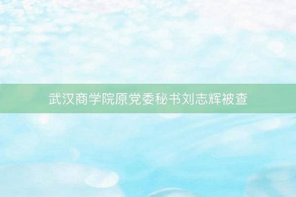 武汉商学院原党委秘书刘志辉被查
