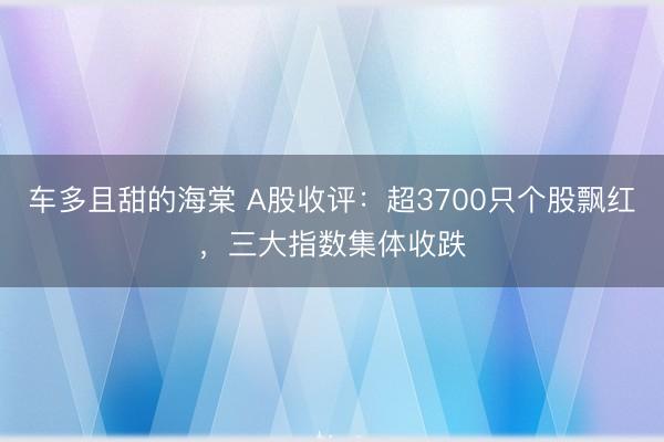 车多且甜的海棠 A股收评：超3700只个股飘红，三大指数集体收跌