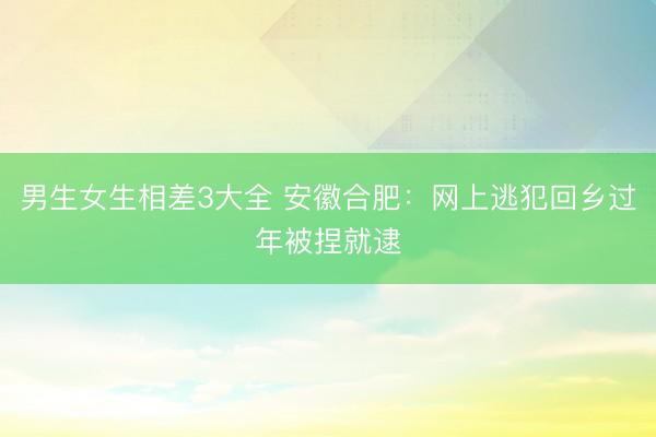 男生女生相差3大全 安徽合肥：网上逃犯回乡过年被捏就逮