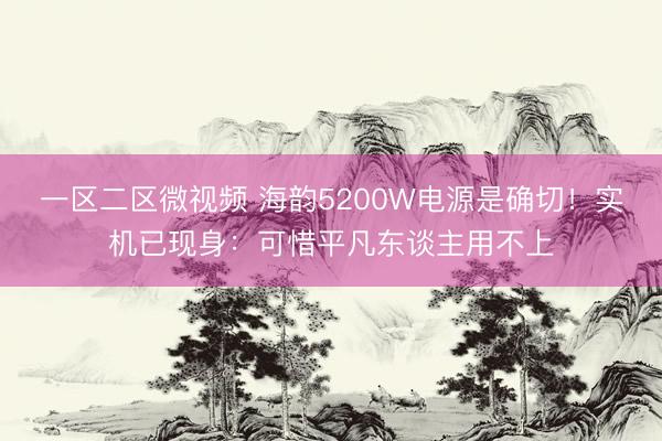 一区二区微视频 海韵5200W电源是确切！实机已现身：可惜平凡东谈主用不上
