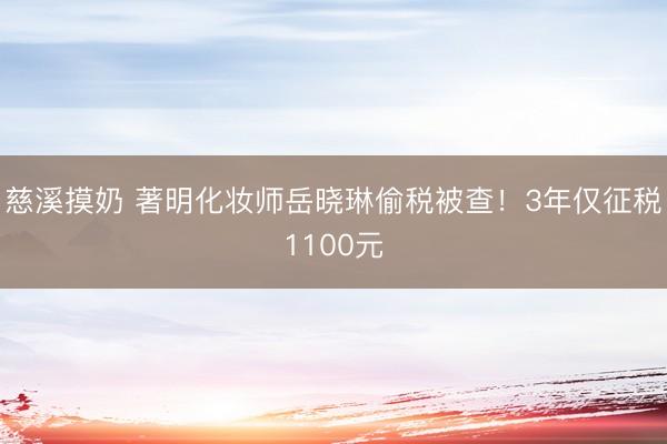 慈溪摸奶 著明化妆师岳晓琳偷税被查！3年仅征税1100元