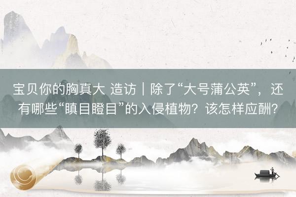 宝贝你的胸真大 造访｜除了“大号蒲公英”，还有哪些“瞋目瞪目”的入侵植物？该怎样应酬？