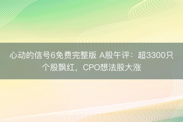 心动的信号6免费完整版 A股午评：超3300只个股飘红，CPO想法股大涨