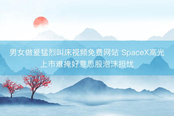 男女做爰猛烈叫床视频免费网站 SpaceX高光上市难掩好意思股泡沫担忧