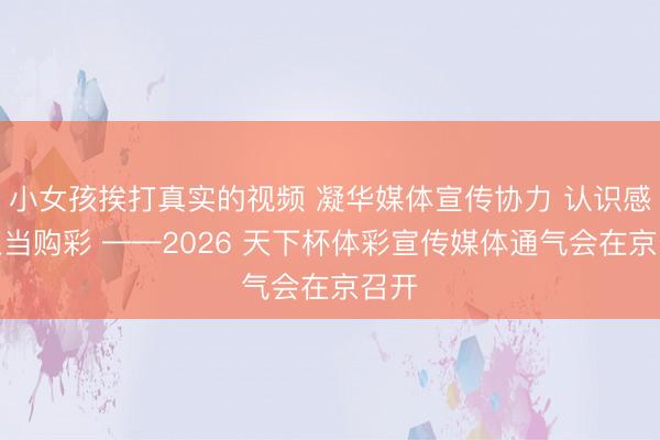 小女孩挨打真实的视频 凝华媒体宣传协力 认识感性正当购彩 ——2026 天下杯体彩宣传媒体通气会在京召开