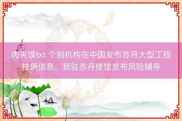 肉夹馍txt 个别机构在中国发布苏丹大型工程技俩信息,我驻苏丹使馆发布风险辅导