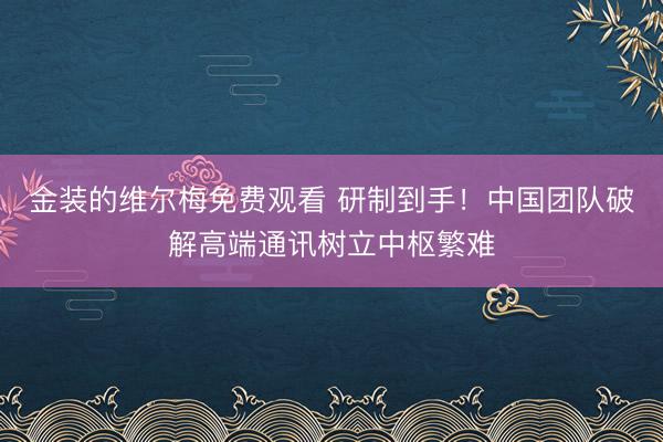 金装的维尔梅免费观看 研制到手！中国团队破解高端通讯树立中枢繁难
