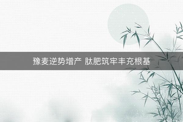 豫麦逆势增产 肽肥筑牢丰充根基